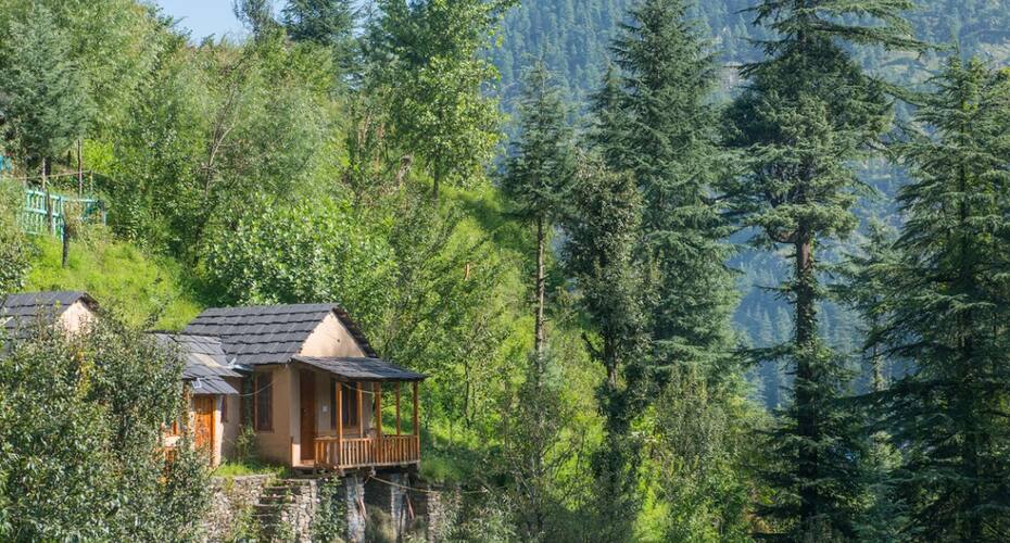 Rana Swift Cottage, Kullu 3